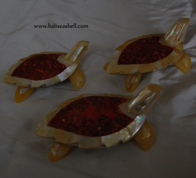 shell turtle art crafts art ornament