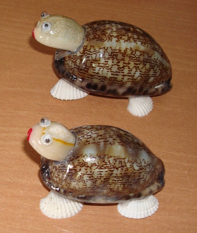 turtle ornament with cowrie