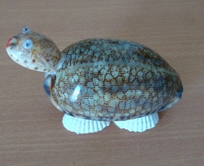 shell crafts with turtle ornament