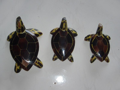 turtle crafts made from black shell