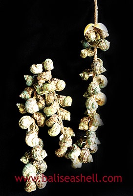 Tessel Green Shell Decor