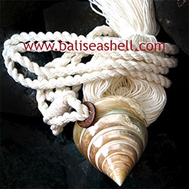 Tessel Top Shell decor art