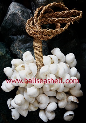 tessel white shell art