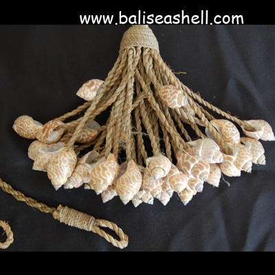 seashell handicrafts gifts art