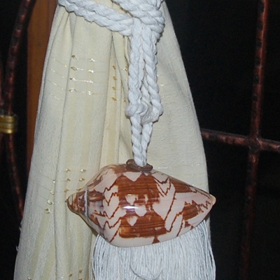 shell tessel from cymbiola shell