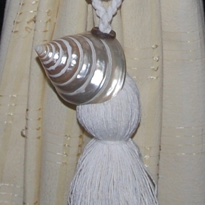 tectus pyramid shell tessel art