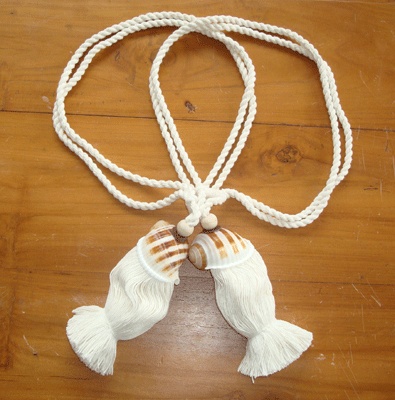 tonnidae shell tessel