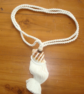 Tonnidae tessel shell