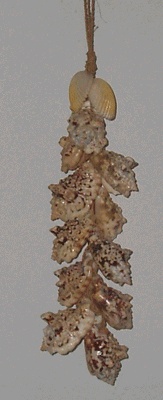 tessel shell small