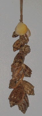 shell tessel