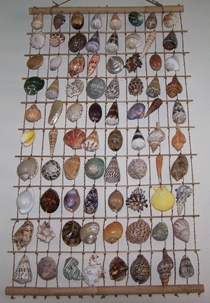 seashell curtain wall