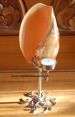 melo shell for lamp candle light