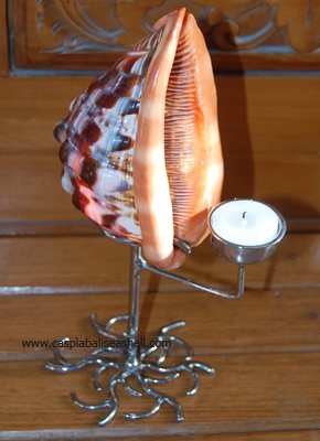 table lamp from seashell candle light