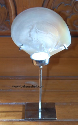 pinctada maxima art candle light