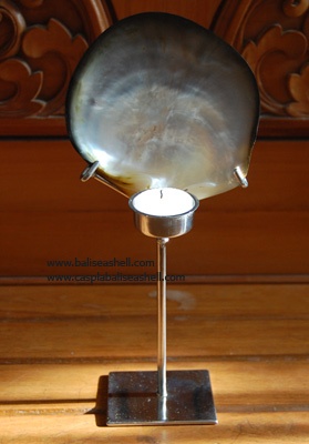 seashell lamp candle light