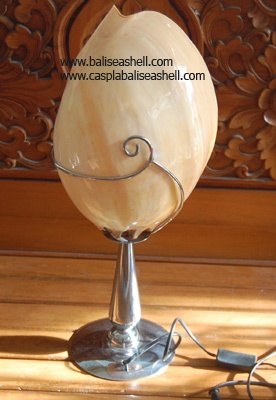 wholesales table shell lamp art
