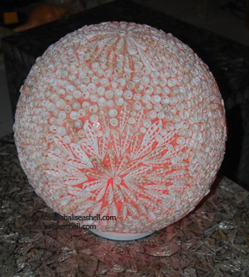 shell art indonesia natural lamp