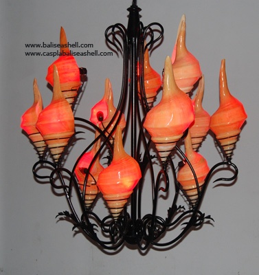 shell lamp light art natural