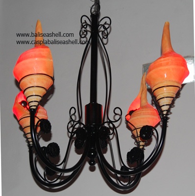 shell lamp light art natural