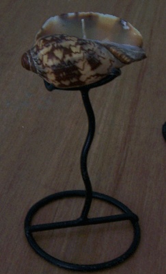 lamp cymbiola with candle