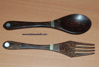 shell coco spoon art set
