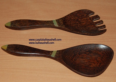 coco spoon with shell