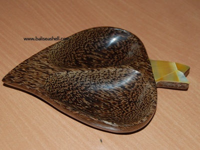 shell with coc crfats wood