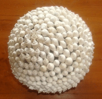 seashell ball
