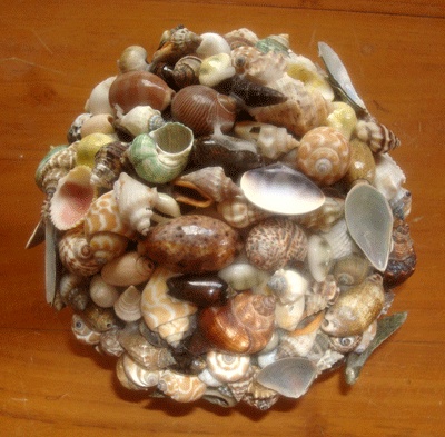 seshell ball