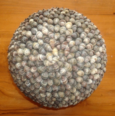 shell ball