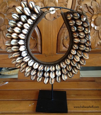 shell caput black cowrie art crafts