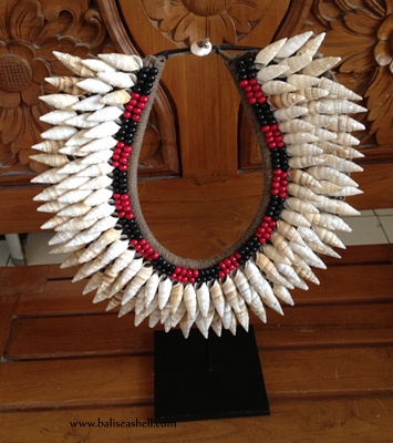 seashell native for jewelry necklace