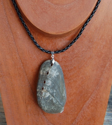 colection shell necklace