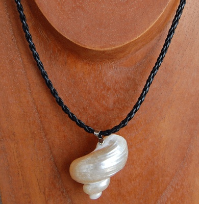 Shell polished necklace