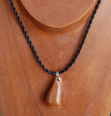 Natural shell necklace
