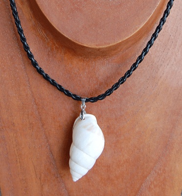 Land shell natural necklace