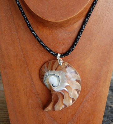 shell natural cut with resin