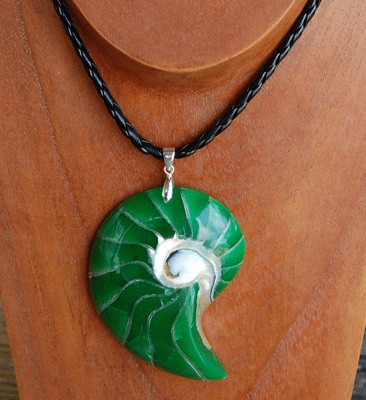 shell natural cut with resin