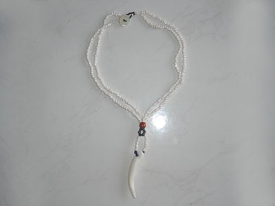 necklace teeth shell