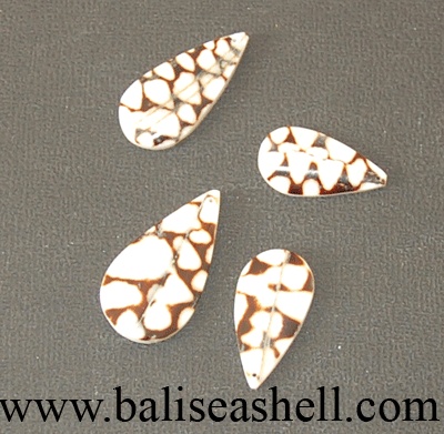 conus shell tiger cutting for jewel part