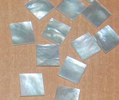 mother of pearl button shell