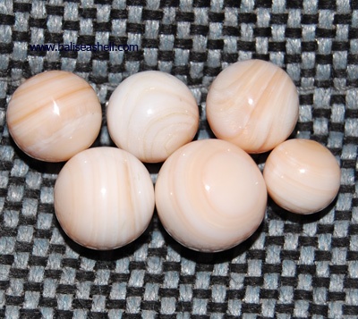 shell casis bead cut natural