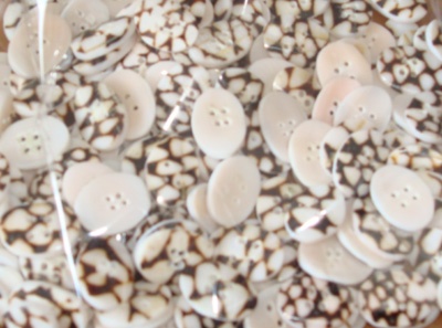 conus shell button