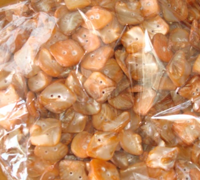 pearlised shell for button