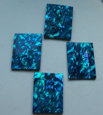 paua cut shell with colourfull