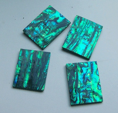 paua cut shell with colourfull