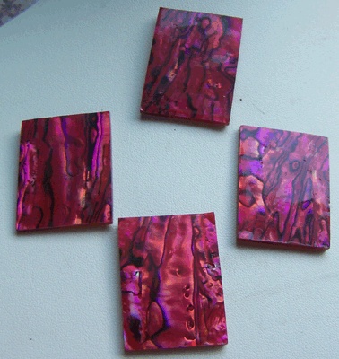 paua cut shell with colourfull