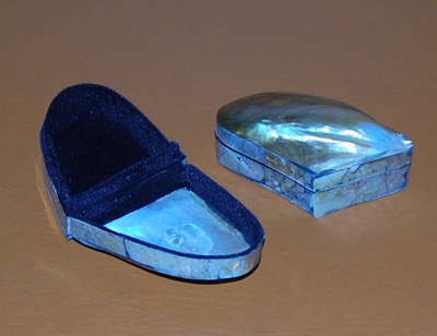 pteria pengun shell box art crafts