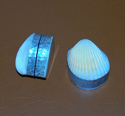 box shell oyster or cllam shell small