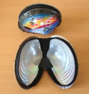 shell natural box with pain